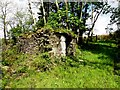 Ruined farm building