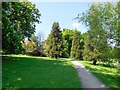 Trees in Borde Hill Gardens