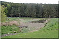NT9911 : Pond below Churchbrae Plantation by Bill Boaden