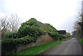 Vegetation covered out building, Richborough Farm