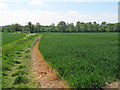 Footpath south  of Brookhouse Road, Great Tey