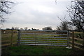 Gate by Richborough Rd