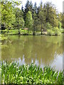 Reservoir Pond or Arboretum Lake