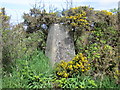 Ordnance Survey Trig Pillar S5797