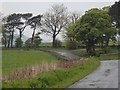 Lane near Bank Top