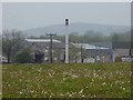 Meadow and former cheese factory