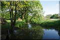 Stream in Cranham Marsh