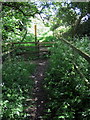 Footpath to Heather Lane