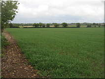 SU5849 : Great Wildcroft Field - (20.5 acres) by Mr Ignavy