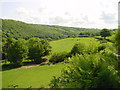 Gwaun Valley near Cilrhedyn Bridge