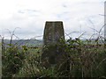 Ordnance Survey Trig Pillar S5792