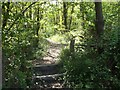 Bridleway into Scaland Wood