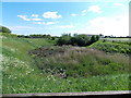 Dried-up pond, Rogiet