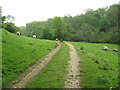 Public footpath heading East beside the Broadmead Brook