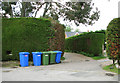 Bin day in Barnby