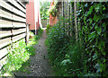 Footpath to Mill Lane, Barnby