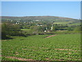 Potato field near Polladras