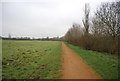 Brent River Park Walk, Bittern