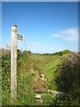 Public footpath to Polladras from Carleen