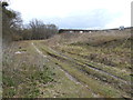 Waste Ground, Staplehurst