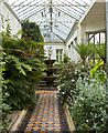 The orangery at Lyme Park