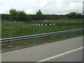 Police vehicles refuge on M25