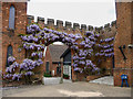 Wisteria Arch, Hatfield House, Hertfordshire