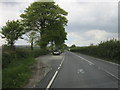 The A386 towards Mary Tavy