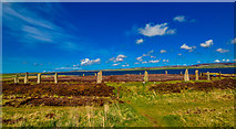 HY2913 : Ring of Brodgar by Andy Farrington