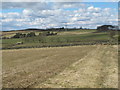 Farmland west of Shildon