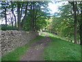 Kerridge Hill path south of White Nancy