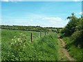 Bridleway and Grassland near Chaddesden