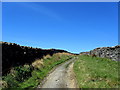 Track leading from Wham Lane