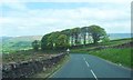 Copse on the B6478