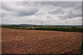 East Devon : Ploughed Field