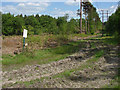 Swinley Forest clearance