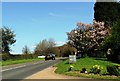 The A271 west of Herstmonceux