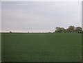 Farmland north of Ruskington