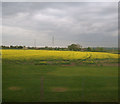 Farmland east of Walkeringham