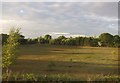 Farmland, Finningley