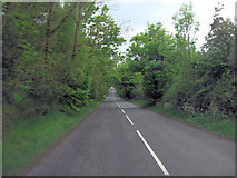 TQ4621 : Rocks Road southeast of Lake Wood by Stuart Logan