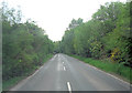 Un-named road south of Piltdown Golf Club