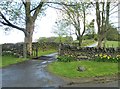 A cattle grid at the entrance to Creaganfois