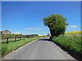 A minor road at Stoford Hill Buildings