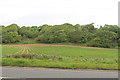 Farmland near Glenhead