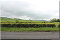 Farmland near Millstonford