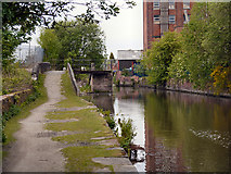 SJ9398 : Ashton Canal, Prince's Dock by David Dixon