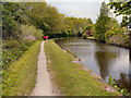 Peak Forest Canal