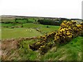 Meendamph Townland