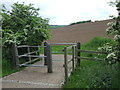 National Cycle Network route 1 near Lower Nazeing, Essex